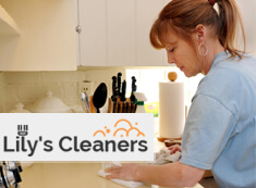 Domestic Cleaners Wandsworth