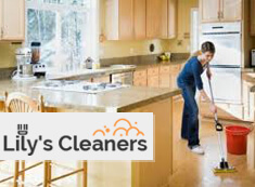 Domestic Cleaners SW18