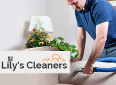 Sofa Cleaning SW18