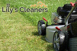 Lawn Care Wandsworth