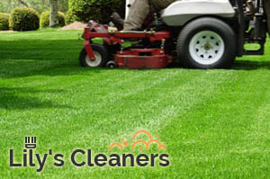 Lawn Mowing Wandsworth