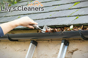 professional-gutter-clenaers-wandsworth