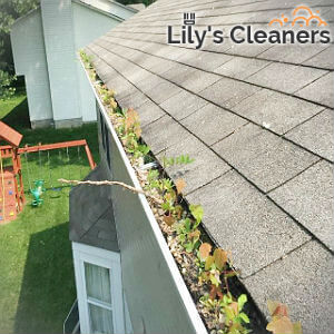 reliable-gutter-cleaning-wandsworth